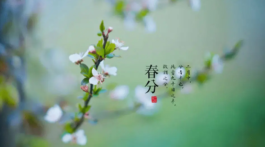 春分雨水多易生菌！金環(huán)電器提醒你衣物要注意處理